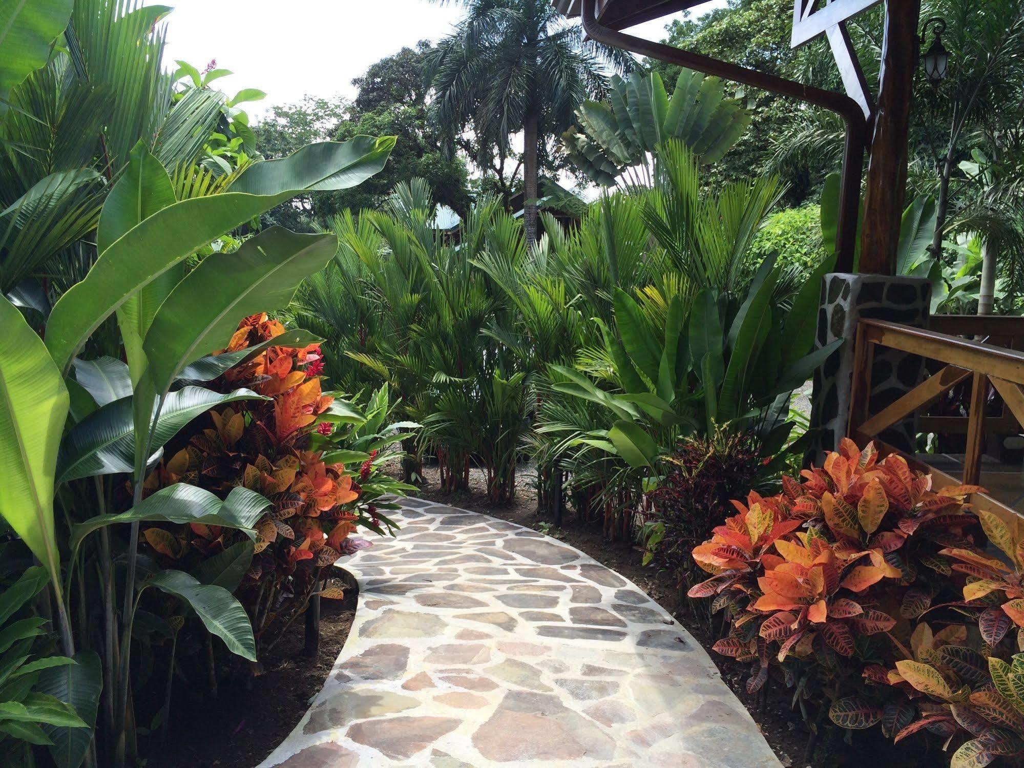 Mussaenda, Arenal Hotel La Fortuna Luaran gambar