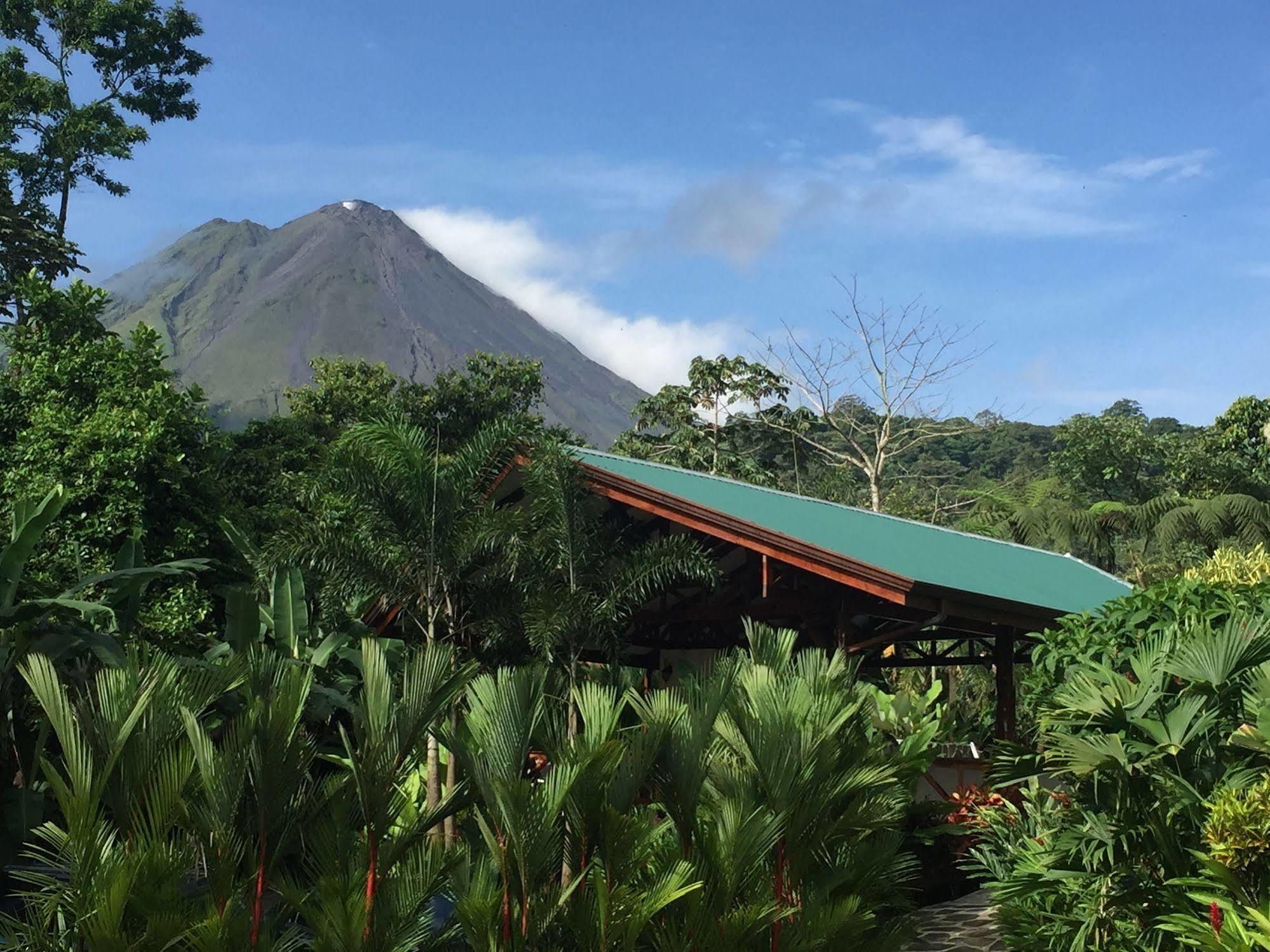 Mussaenda, Arenal Hotel La Fortuna Luaran gambar