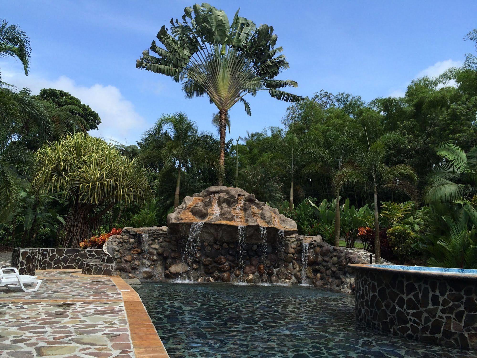 Mussaenda, Arenal Hotel La Fortuna Luaran gambar
