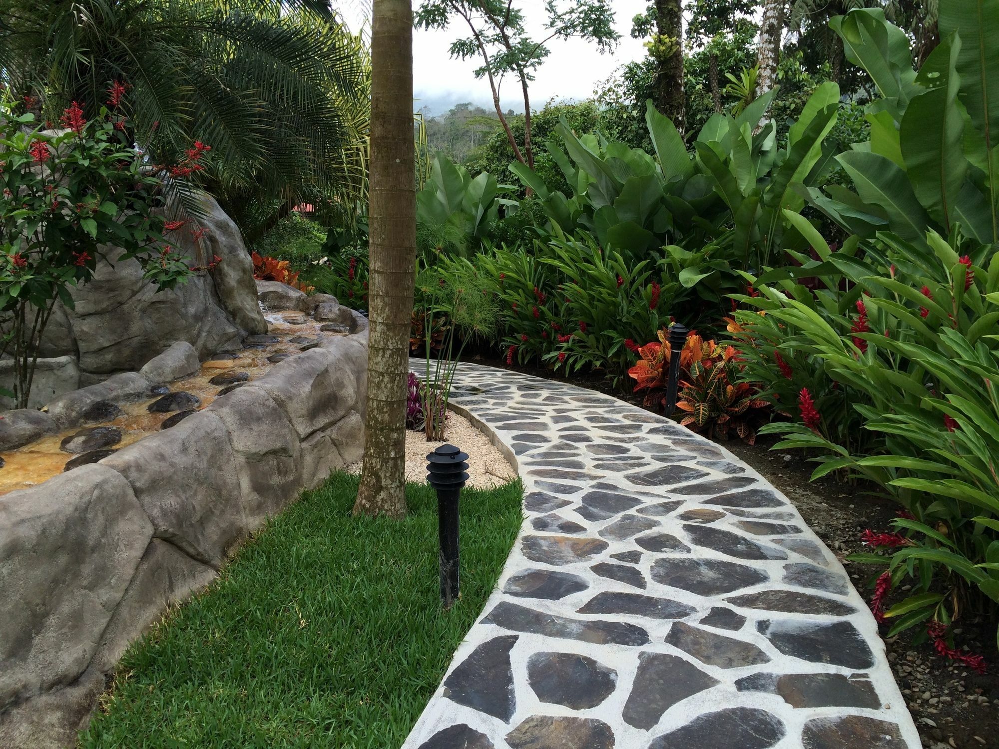 Mussaenda, Arenal Hotel La Fortuna Luaran gambar